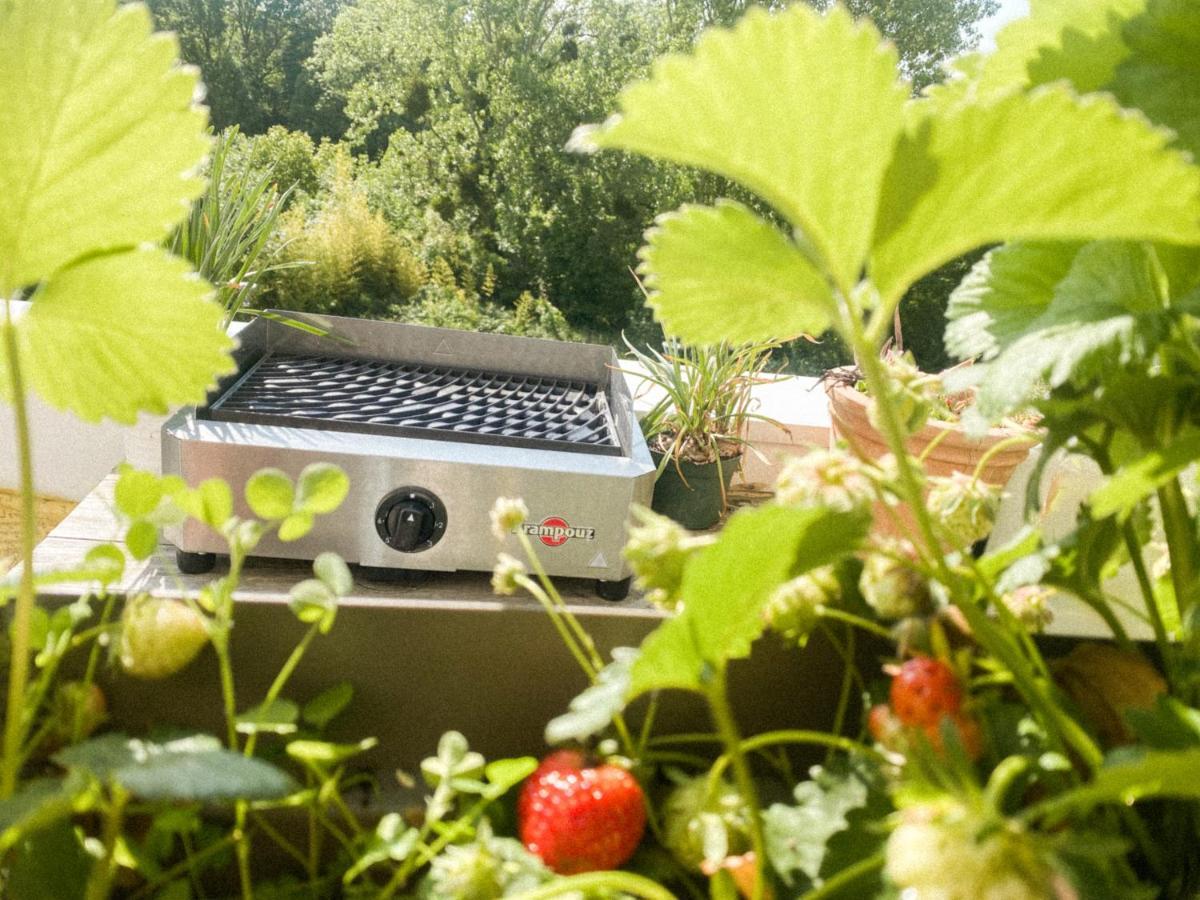 L'Olympique: Appartement Cosy, Vue Canal Grande Terrasse Et Parking Vaires-sur-Marne Bagian luar foto
